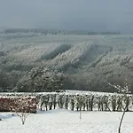 The View Guest house 4*