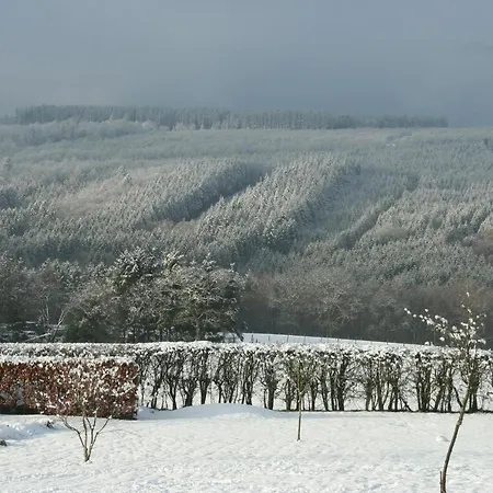 The View ゲストハウス 4*