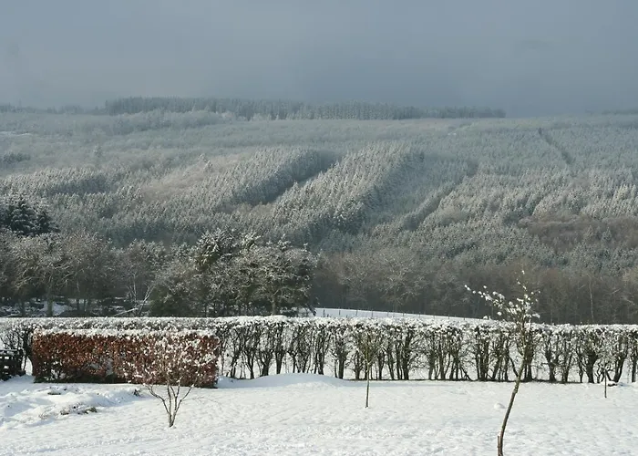 The View Гостевой дом 4*